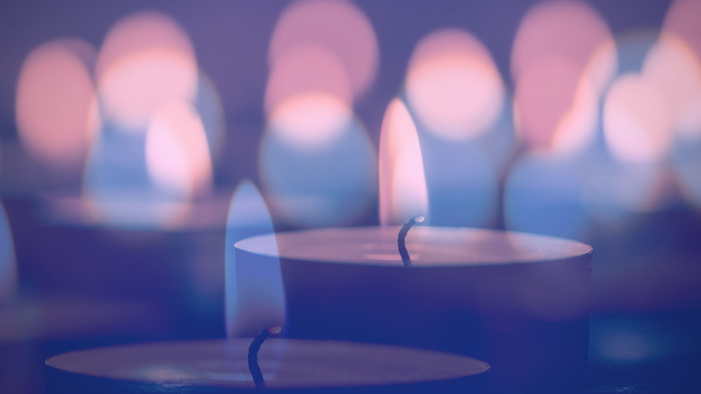 350 Transgender People Were Murdered In 2020 – And Other LGBTQ News This Week