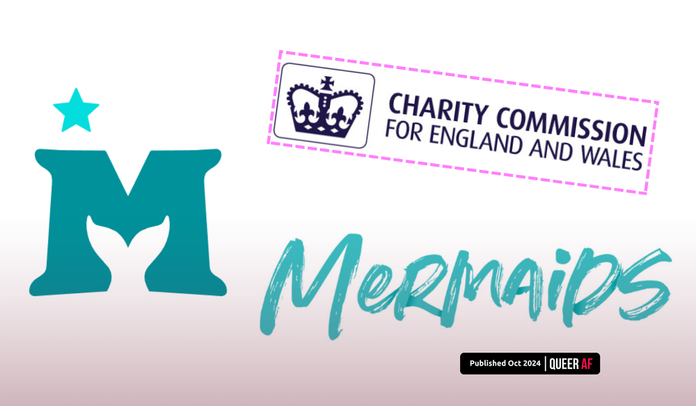 What we can learn from the Mermaids Investigation